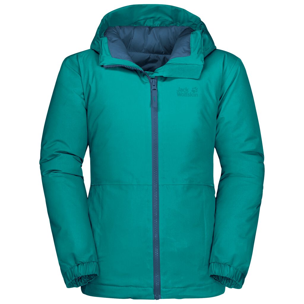 Jack Wolfskin ARGON STORM Vestes Enfant Vert - TGQHYMV-51